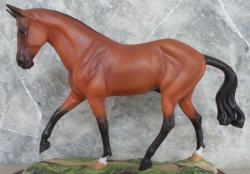 Stock Horse Gelding