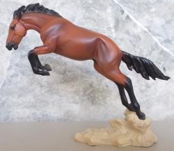 Wild Bronc