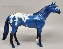 CL Show Stock Horse
