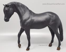 Foundation Stallion