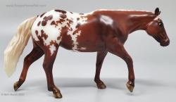 SM Stock Horse Mare - Cassidy G6