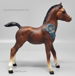 Family Arabian Foal FAF