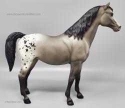 Family Arabian Mare FAM
