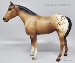 Quarter Horse Yearling QHY