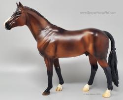 Warmblood Stallion - Idocus