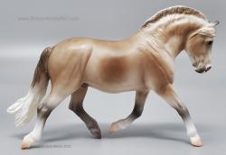 SM Norwegian Fjord Stallion - Lyric G6