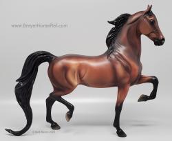 National Show Horse NSH