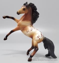 SM Rearing Andalusian G3