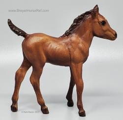 Sea Star