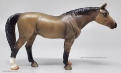 SM Quarter Horse G4