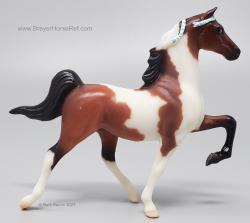SM Saddlebred G1