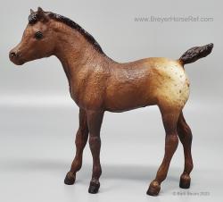 Phantom Wings Stock Foal