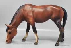 Grazing Mare