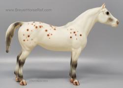 Pony of the Americas POA