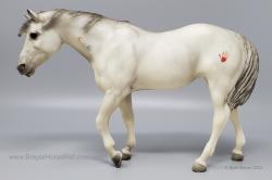 Indian Pony IP