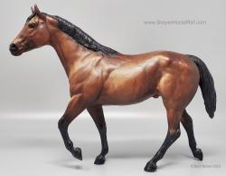 Stock Horse Stallion SHS
