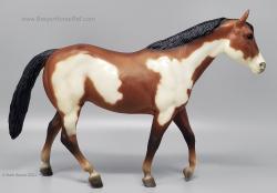 Stock Horse Mare SHM