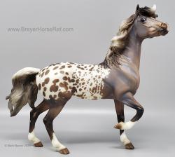 Mustang Mare - Forever Saige