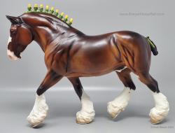 Shire Gelding - Shannondell