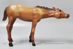 Suckling Foal - Nursing Foal