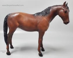 Thoroughbred Mare
