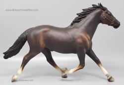 Pacer