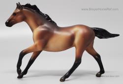 SM Seabiscuit G1