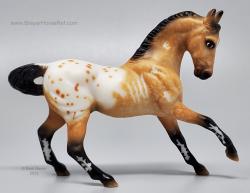 SM Warmblood G2