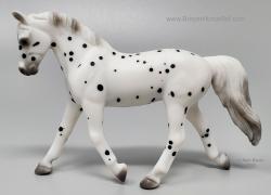 SM Trotting Warmblood G4