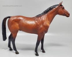 Trakehner