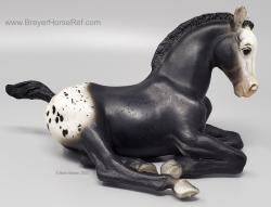 Lying Down Foal