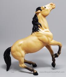 Mustang - Semi-Rearing