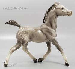 Running Foal RF