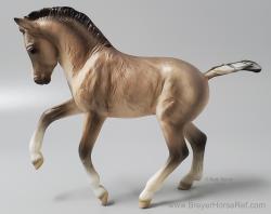 Welsh Foal - Cadell