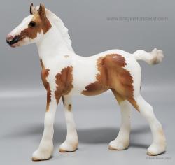 Vanner Foal - Rhemi
