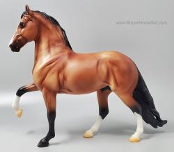 Peruvian Paso