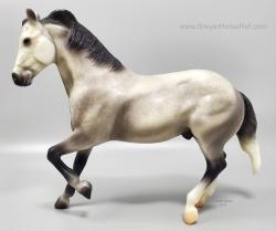 Ranch Horse - Cody