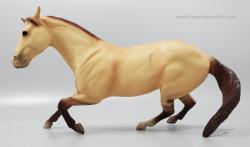 CL Scamper