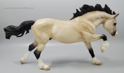 Welsh Cob - Llywellyn