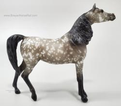 SM Show Stance Arabian Mare - Zafirah M1