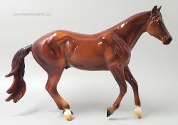 Loping Quarter Horse - Latigo