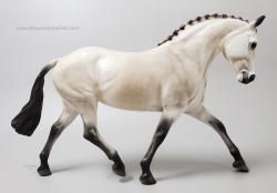 Rowan - British Riding Pony