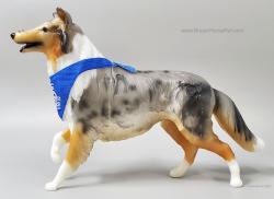 Lassie - Collie