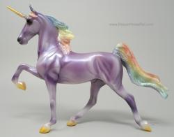 CL American Saddlebred