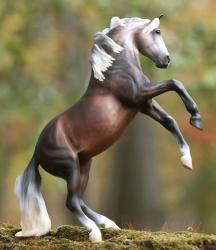 Rearing Andalusian Mare