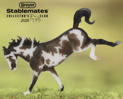 SM Bucking Horse - Derecho