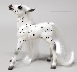DP Filly - Sunny